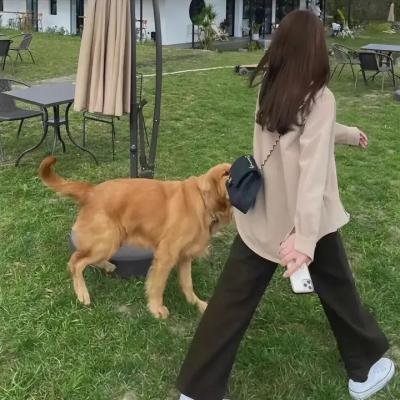 妙媳妇见公婆