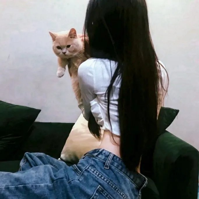 鹰狼突击队